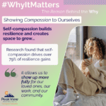 Why It Matters